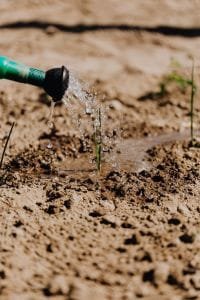 tierra cultibable conservación del suelo