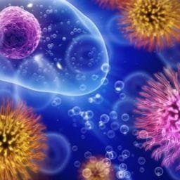Biología y Microbiología