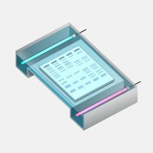 Electroforesis Método de Separación Molecular
